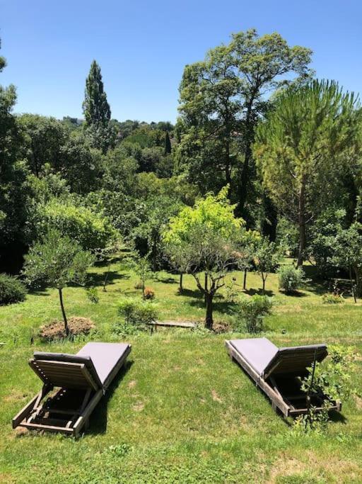 Le Tapis Vert - Loft Avec Jardin Auch Exterior photo